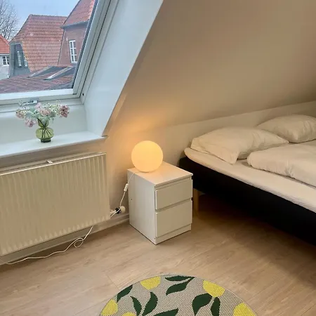 Daire Cozy House With Garden Odense